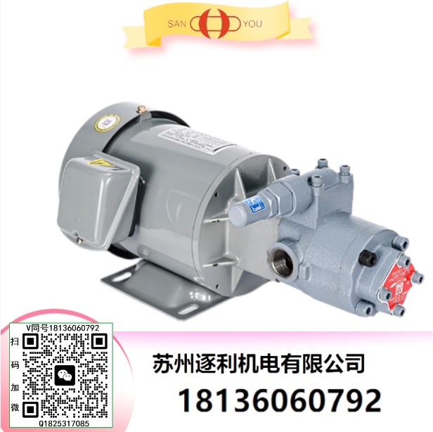 臺灣SANYOU油泵 SAN YOU油泵RBB-216Y RBB-210Y RBB-202Y